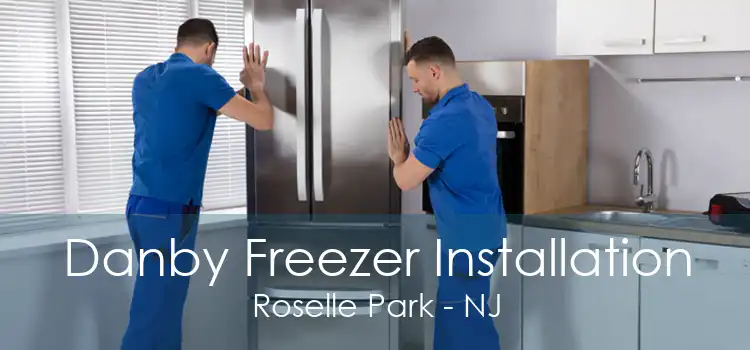 Danby Freezer Installation Roselle Park - NJ