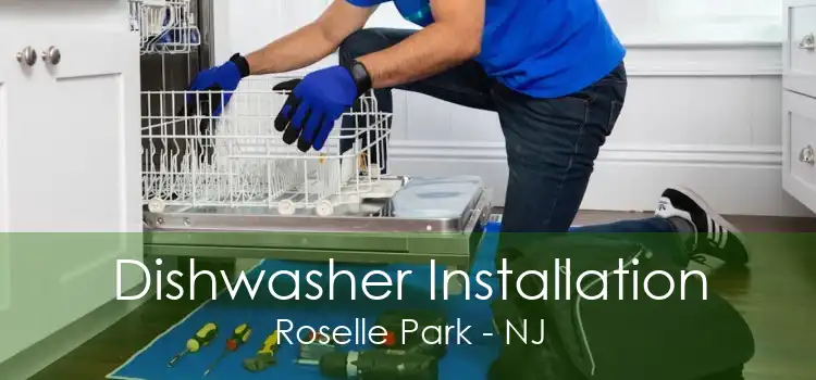 Dishwasher Installation Roselle Park - NJ