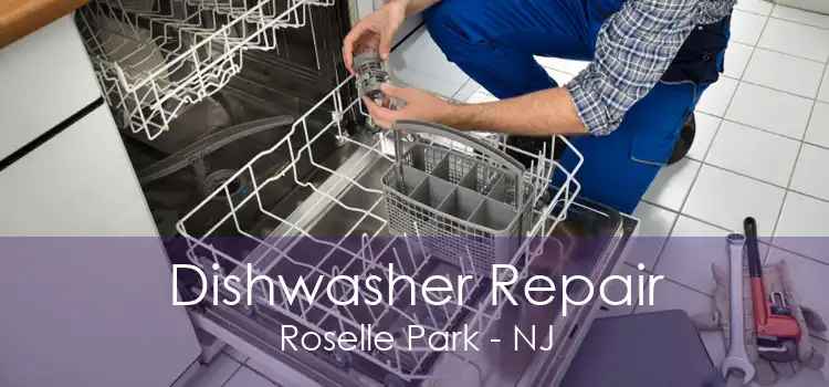 Dishwasher Repair Roselle Park - NJ