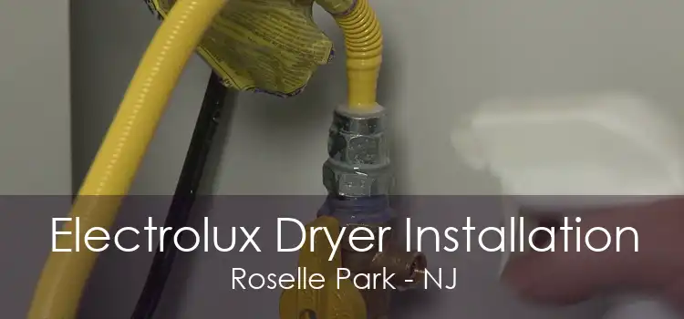 Electrolux Dryer Installation Roselle Park - NJ