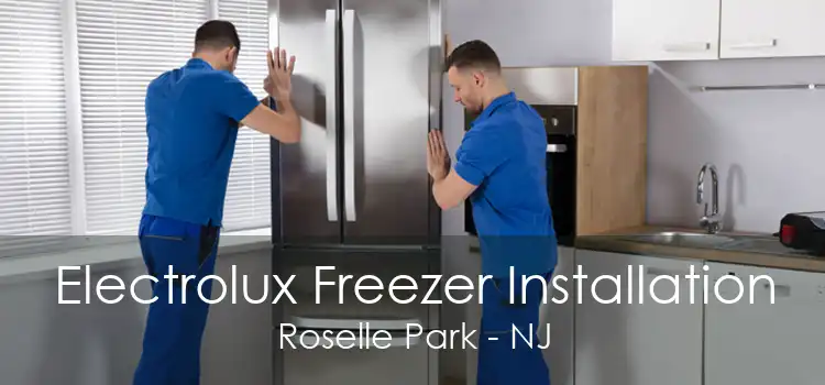 Electrolux Freezer Installation Roselle Park - NJ