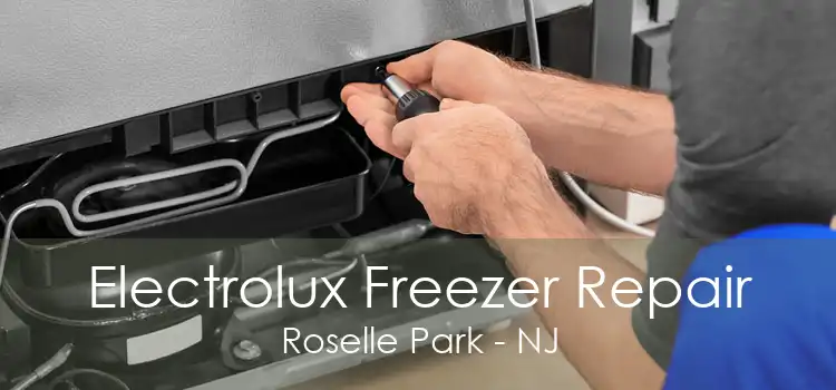 Electrolux Freezer Repair Roselle Park - NJ