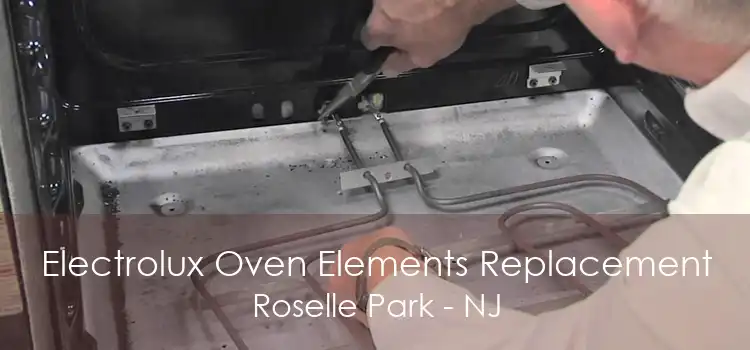 Electrolux Oven Elements Replacement Roselle Park - NJ