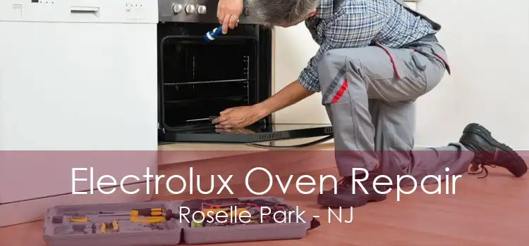 Electrolux Oven Repair Roselle Park - NJ