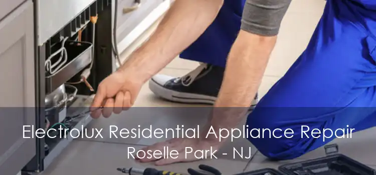 Electrolux Residential Appliance Repair Roselle Park - NJ