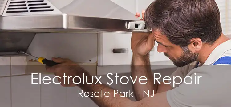 Electrolux Stove Repair Roselle Park - NJ