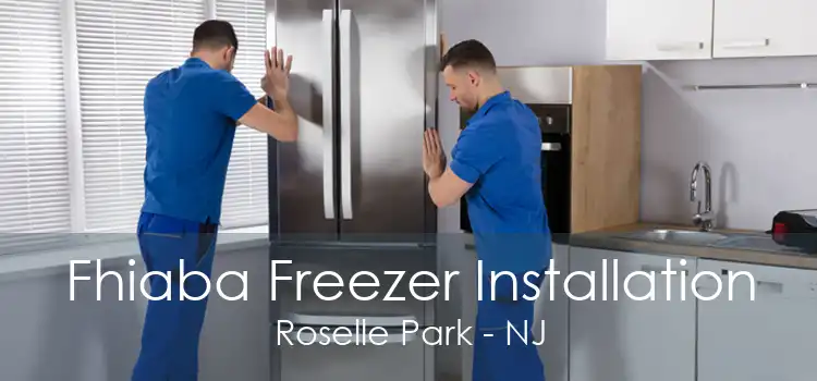 Fhiaba Freezer Installation Roselle Park - NJ