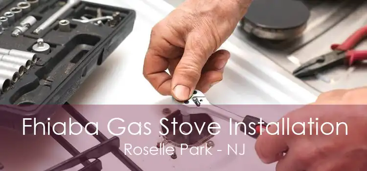 Fhiaba Gas Stove Installation Roselle Park - NJ