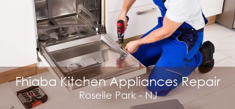 Fhiaba Kitchen Appliances Repair Roselle Park - NJ