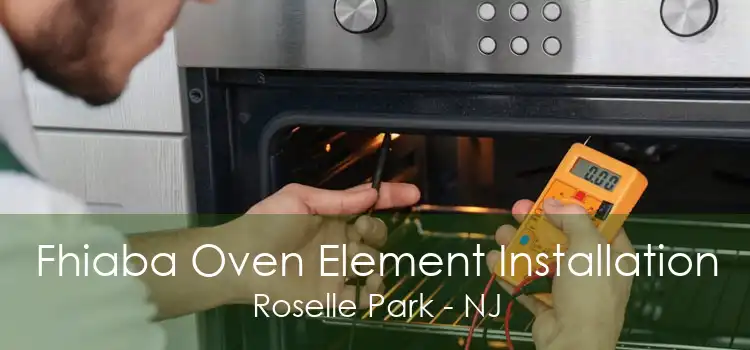 Fhiaba Oven Element Installation Roselle Park - NJ