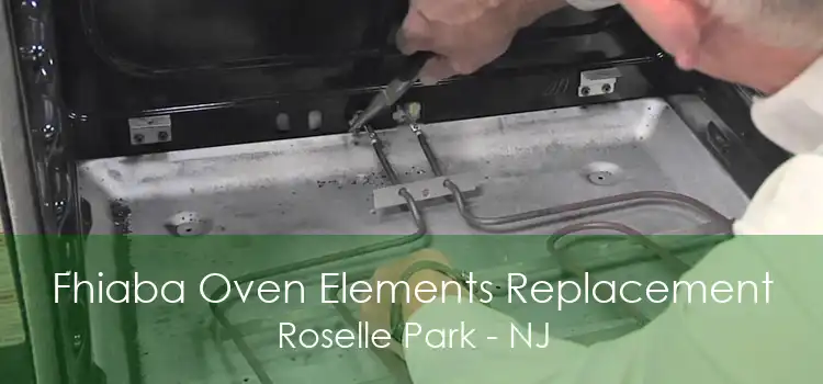 Fhiaba Oven Elements Replacement Roselle Park - NJ