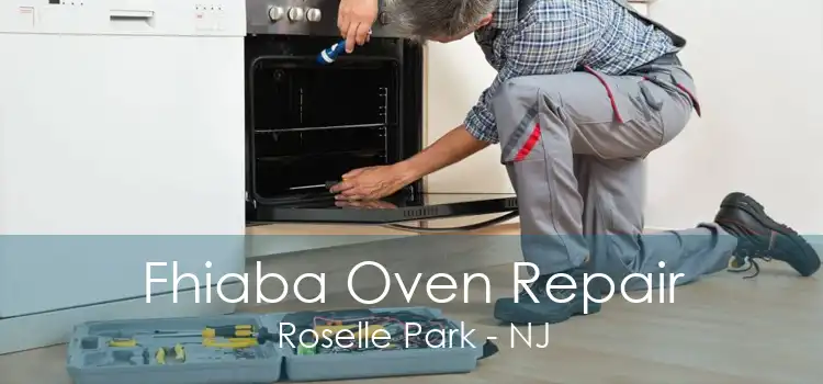 Fhiaba Oven Repair Roselle Park - NJ