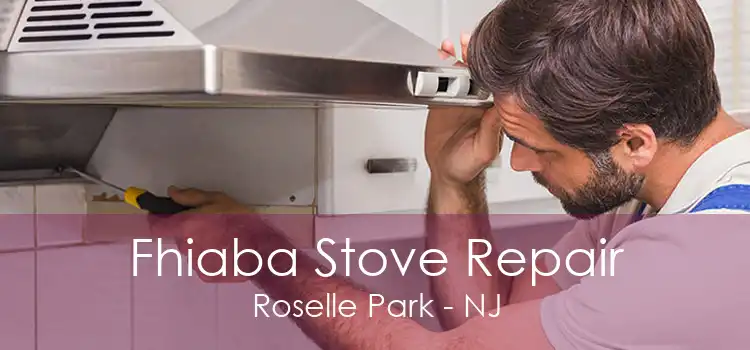 Fhiaba Stove Repair Roselle Park - NJ