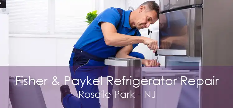 Fisher & Paykel Refrigerator Repair Roselle Park - NJ