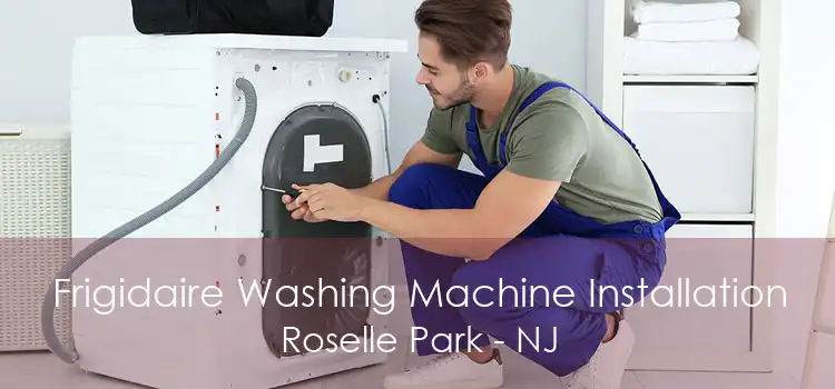 Frigidaire Washing Machine Installation Roselle Park - NJ