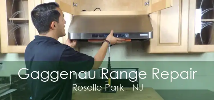 Gaggenau Range Repair Roselle Park - NJ