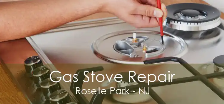 Gas Stove Repair Roselle Park - NJ