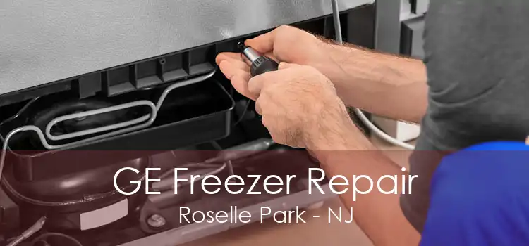 GE Freezer Repair Roselle Park - NJ