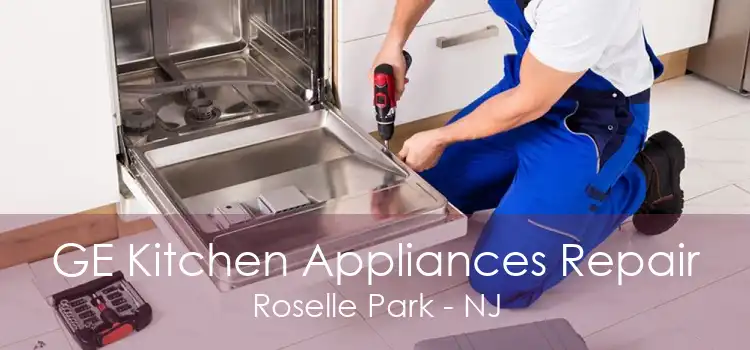 GE Kitchen Appliances Repair Roselle Park - NJ