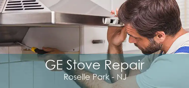 GE Stove Repair Roselle Park - NJ