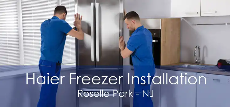 Haier Freezer Installation Roselle Park - NJ