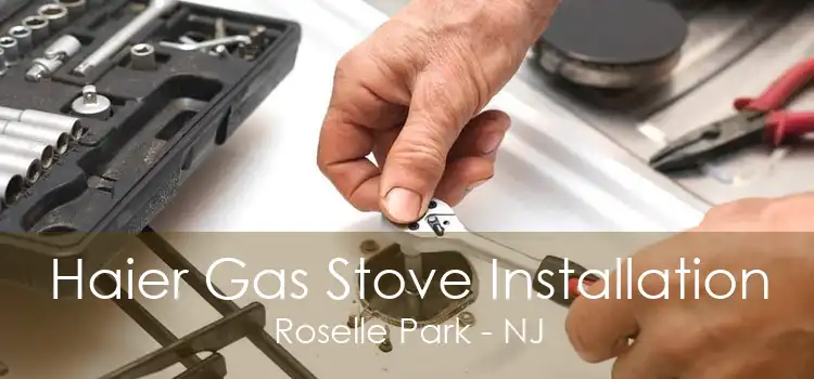 Haier Gas Stove Installation Roselle Park - NJ