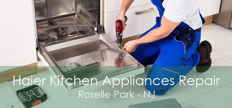 Haier Kitchen Appliances Repair Roselle Park - NJ