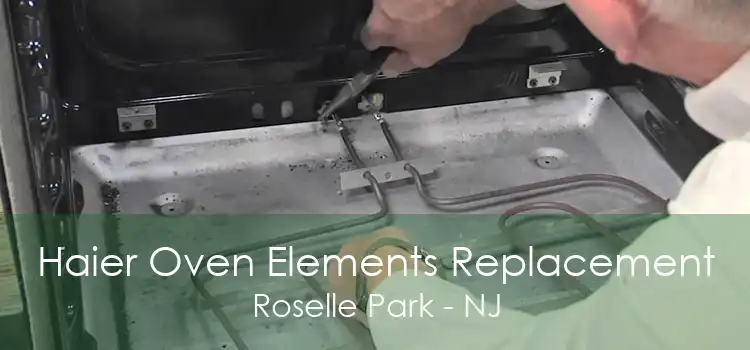 Haier Oven Elements Replacement Roselle Park - NJ