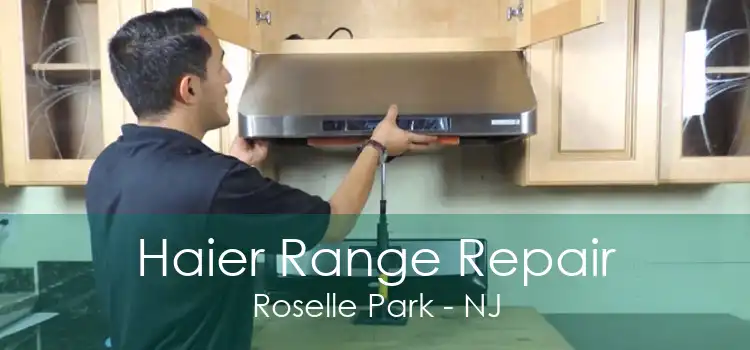 Haier Range Repair Roselle Park - NJ