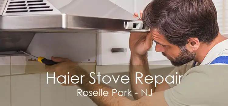 Haier Stove Repair Roselle Park - NJ