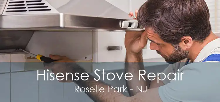 Hisense Stove Repair Roselle Park - NJ