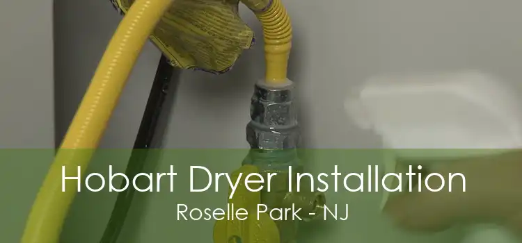 Hobart Dryer Installation Roselle Park - NJ