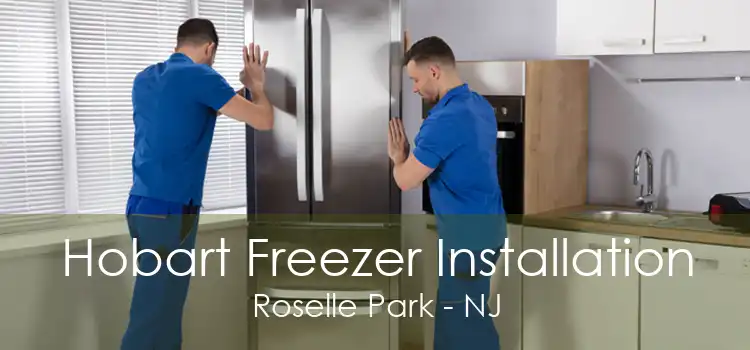 Hobart Freezer Installation Roselle Park - NJ