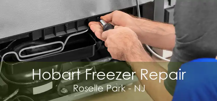 Hobart Freezer Repair Roselle Park - NJ