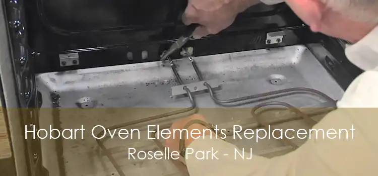 Hobart Oven Elements Replacement Roselle Park - NJ