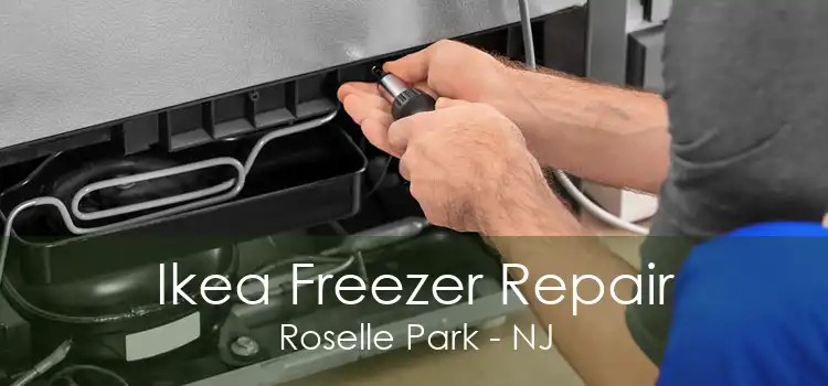 Ikea Freezer Repair Roselle Park - NJ