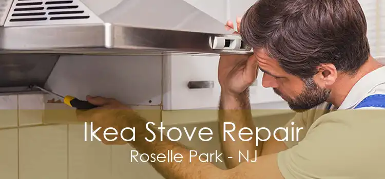 Ikea Stove Repair Roselle Park - NJ