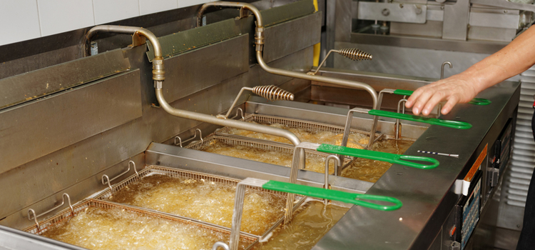 Commercial Fryer Repair in Roselle Park, NJ