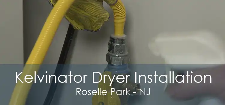 Kelvinator Dryer Installation Roselle Park - NJ