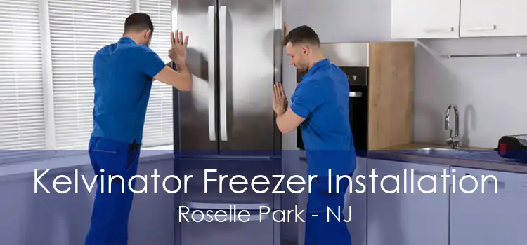 Kelvinator Freezer Installation Roselle Park - NJ