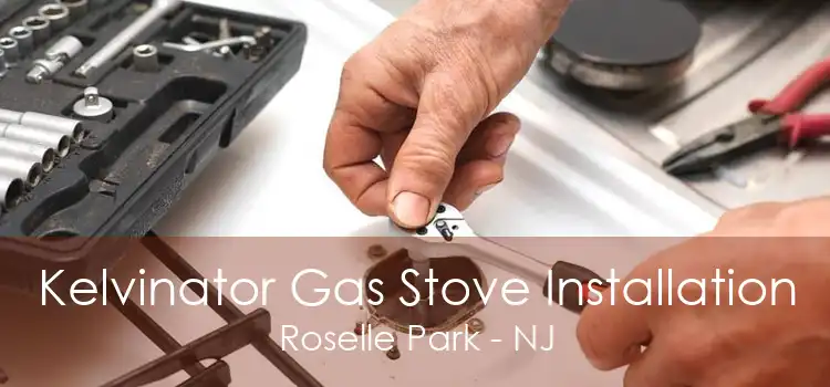 Kelvinator Gas Stove Installation Roselle Park - NJ