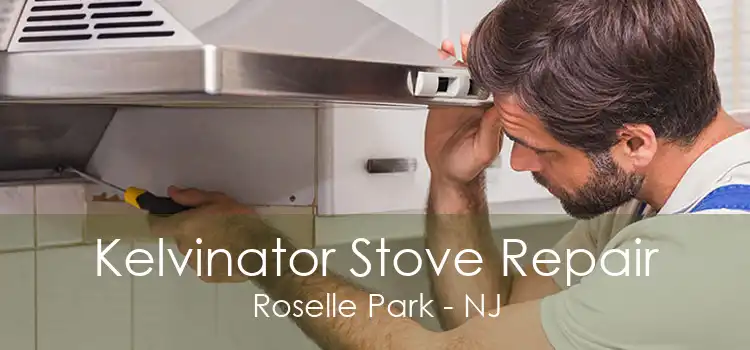 Kelvinator Stove Repair Roselle Park - NJ