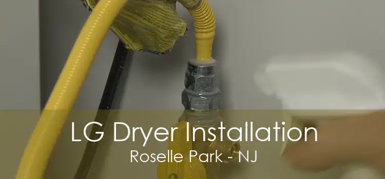 LG Dryer Installation Roselle Park - NJ