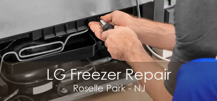 LG Freezer Repair Roselle Park - NJ