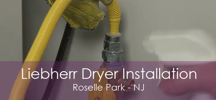 Liebherr Dryer Installation Roselle Park - NJ