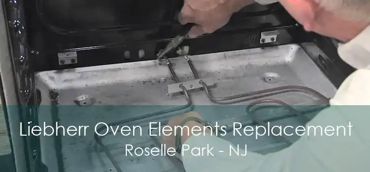 Liebherr Oven Elements Replacement Roselle Park - NJ