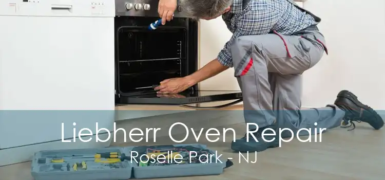 Liebherr Oven Repair Roselle Park - NJ