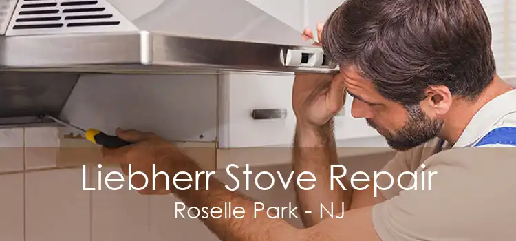 Liebherr Stove Repair Roselle Park - NJ