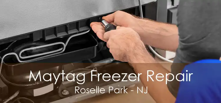 Maytag Freezer Repair Roselle Park - NJ