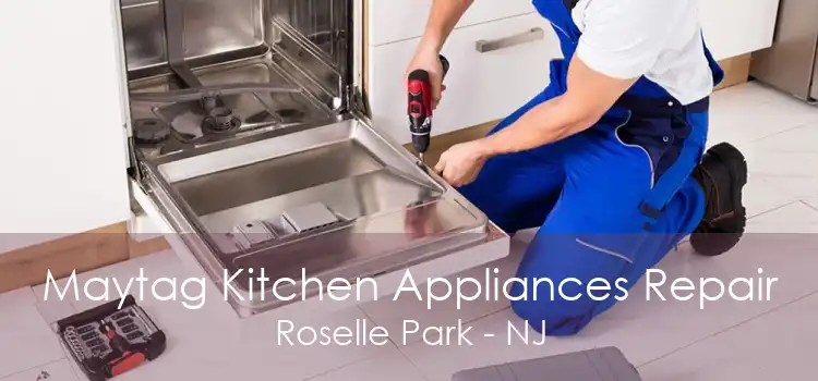 Maytag Kitchen Appliances Repair Roselle Park - NJ